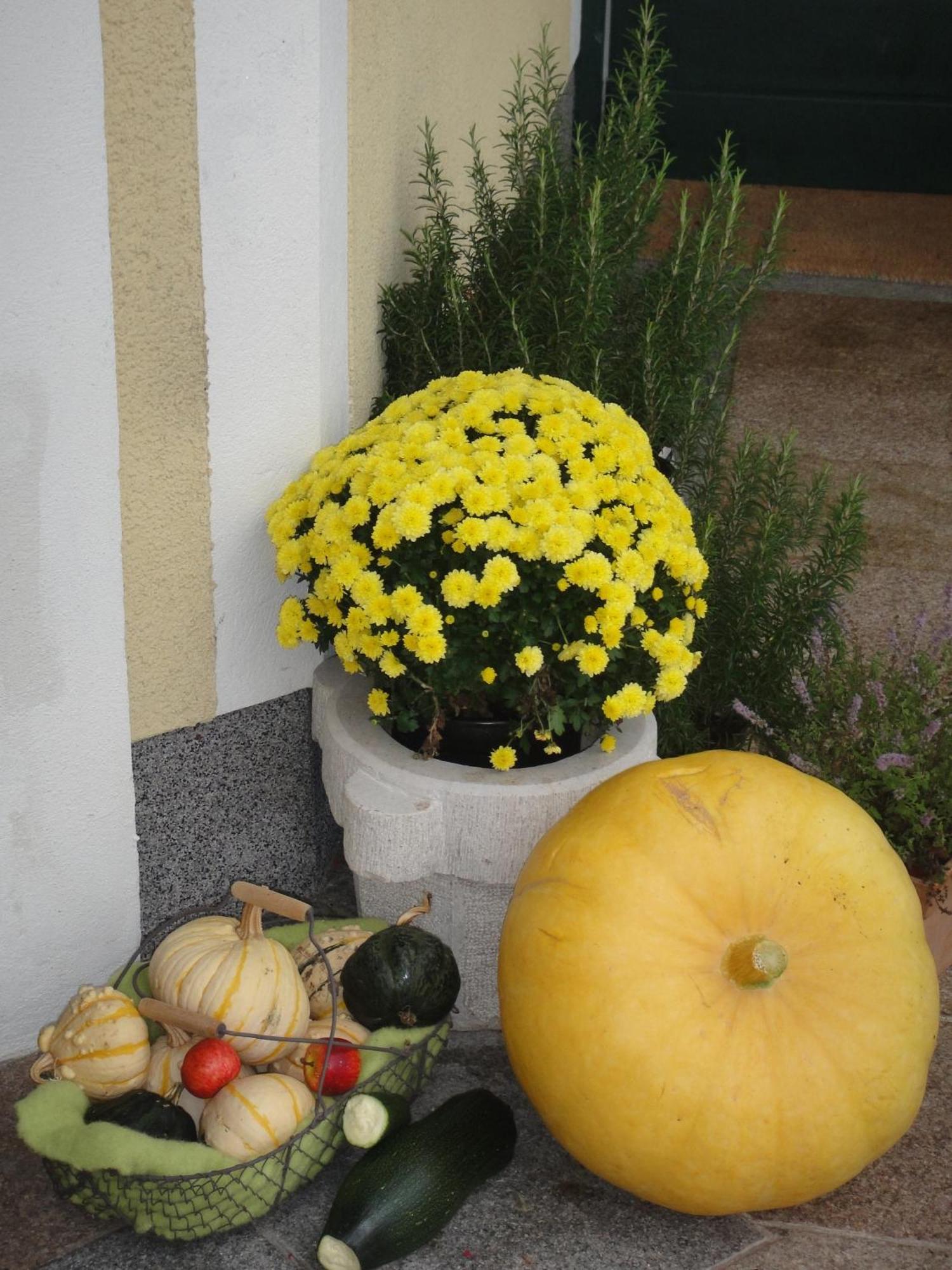 Ferienwohnung Haus Lehen Sankt Koloman Exterior foto