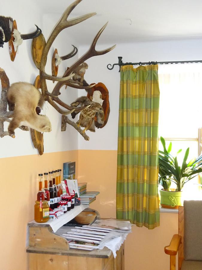 Ferienwohnung Haus Lehen Sankt Koloman Exterior foto